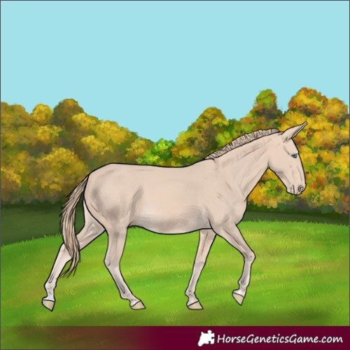 Horse Color:Perlino 