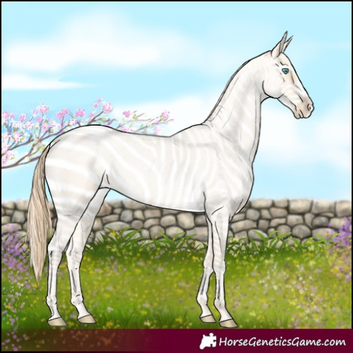 Horse Color:Buckskin Roan Pearl and Buckskin Roan Pearl Splash