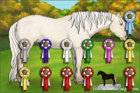 Horse Color:Silver Amber Champagne Dun Varnish 