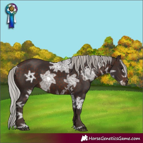 Horse Color:Silver Brown Ice 