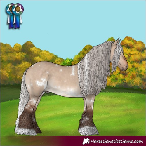 Horse Color:White Spotted Silver Brown Dun 