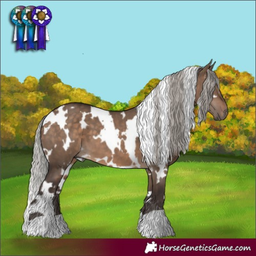 Horse Color:White Spotted Silver Brown Dun 