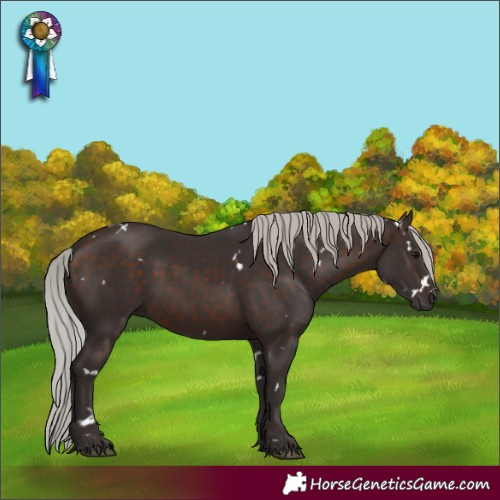 Horse Color:White Spotted Silver Brown 