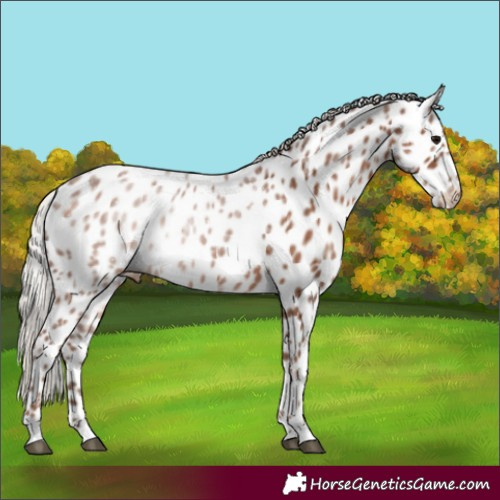 Horse Color:Silver Black Ice Leopard