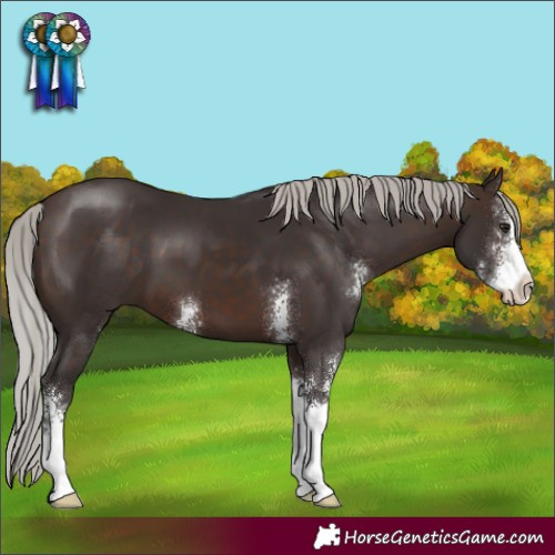 Horse Color:Silver Brown Sabino
