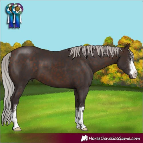 Horse Color:Silver Brown