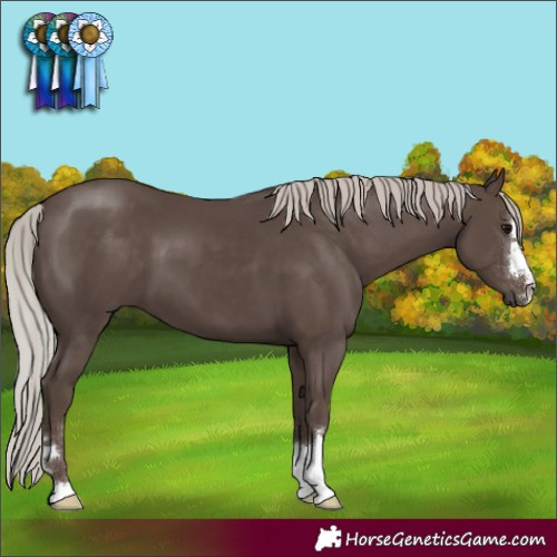 Horse Color:Silver Black 