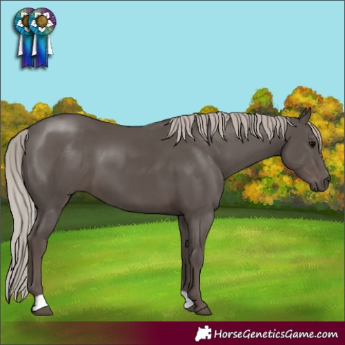 Horse Color:Silver Black 
