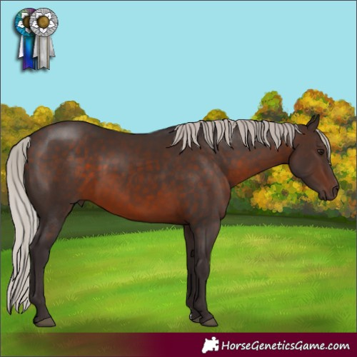Horse Color:Silver Brown Sabino 