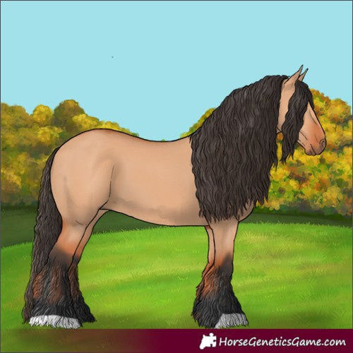 Horse Color:Bay Dun