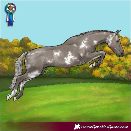 Horse Color:White Spotted Silver Grullo Rabicano 