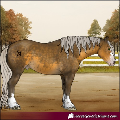Horse Color:Gray Silver Classic Cream Champagne 