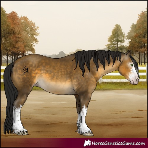 Horse Color:Gray White Spotted Sable Cream Champagne