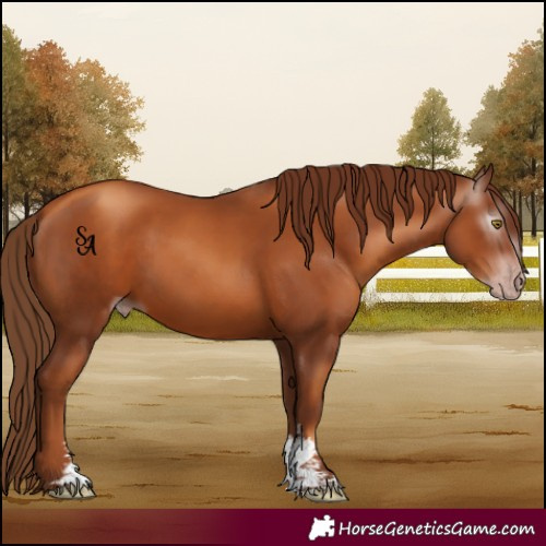 Horse Color:Gray Gold Champagne Sabino 