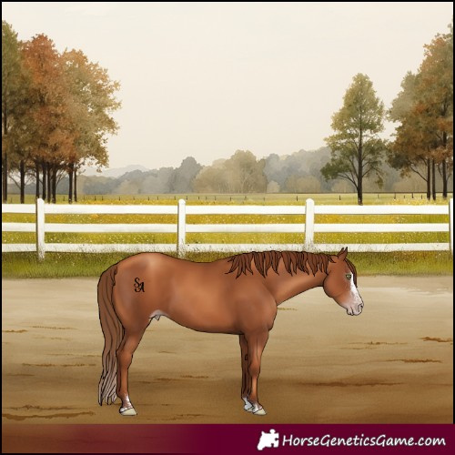 Horse Color:Gray Gold Champagne Splash 