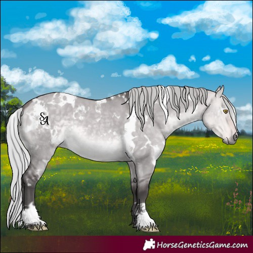 Horse Color:Platinum White Spotted Silver Buckskin Dun 