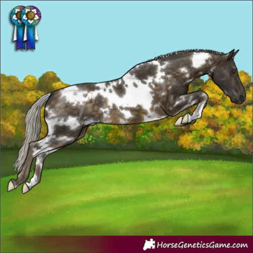 Horse Color:White Spotted Silver Buckskin 