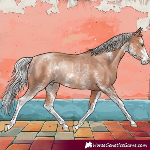 Horse Color:Silver Sable Champagne Sabino Rabicano
