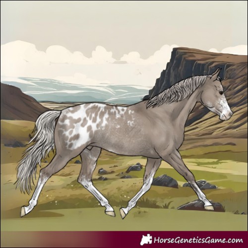 Horse Color:Silver Grullo Sabino Blanket Rabicano 