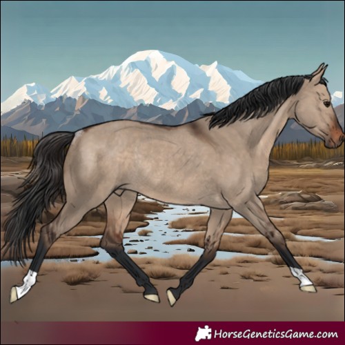 Horse Color:Brown Dun Rabicano 