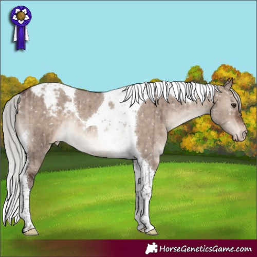 Horse Color:Silver Brown Dun Mushroom Tobiano Snowcap Rabicano Brindle 