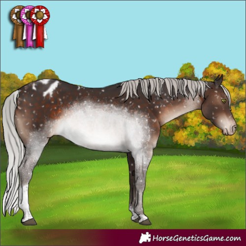 Horse Color:Silver Brown Mushroom Tobiano Blanket 