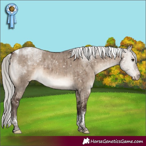 Horse Color:Silver Brown Dun Mushroom Tobiano Snowcap Brindle 