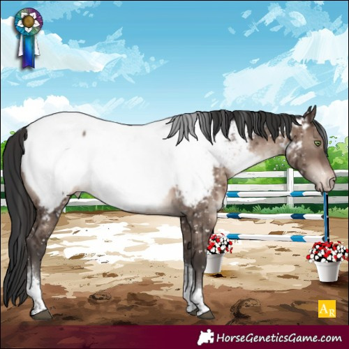 Horse Color:Brown Dun Mushroom Tobiano Near Fewspot Brindle