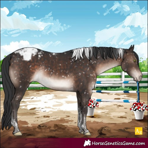 Horse Color:Brown Mushroom Tobiano Snowcap Rabicano 