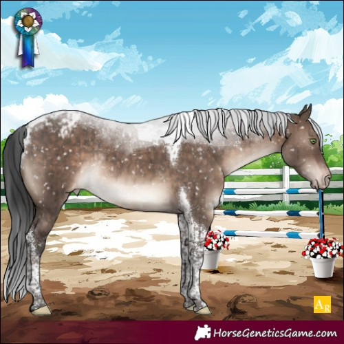 Horse Color:Brown Dun Mushroom Tobiano Snowcap Rabicano Brindle 