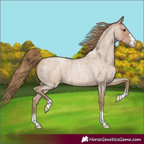 Horse Color:Blue Roan Pearl