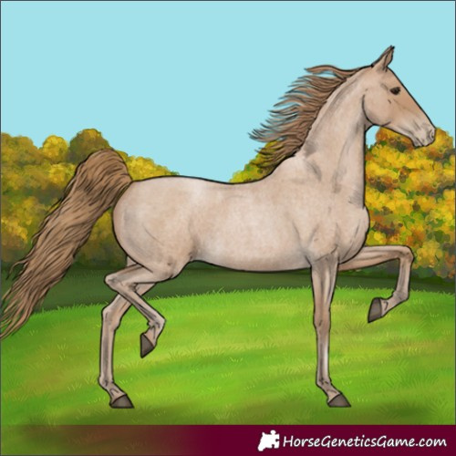 Horse Color:Blue Roan Pearl