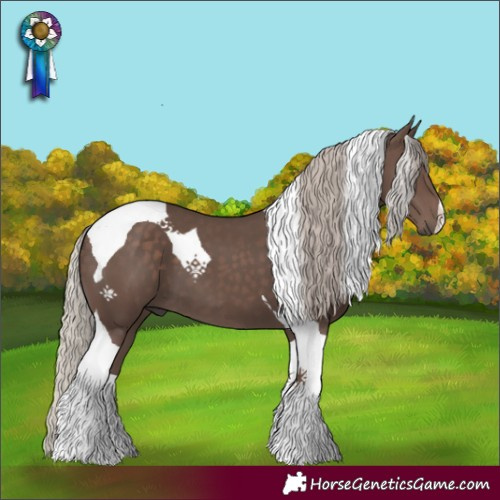 Horse Color:Silver Black Tobiano 