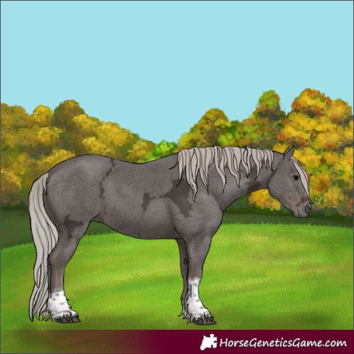 Horse Color:Silver Black Ice Tobiano 