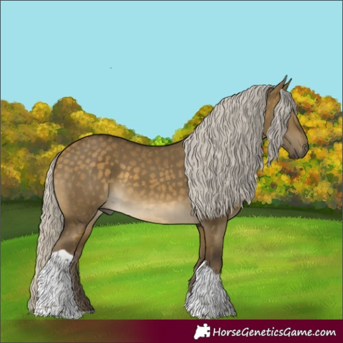 Horse Color:Silver Buckskin Dun Tobiano 
