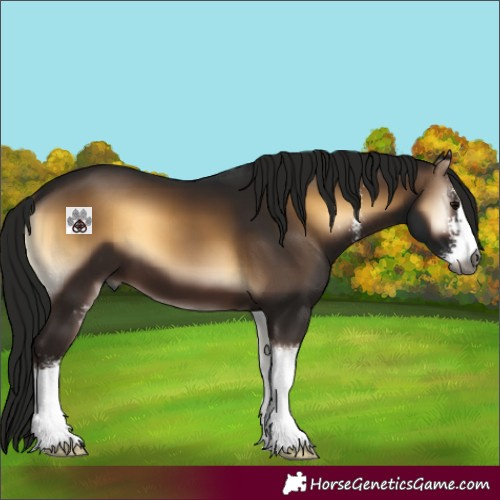 Horse Color:Gray Brown Onyx Sabino 