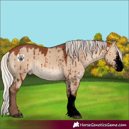 Horse Color:Void Silver Bay Dun Sabino Brindle 