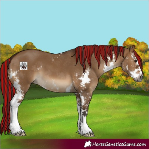 Horse Color:Gray Painted Bay Dun Sabino