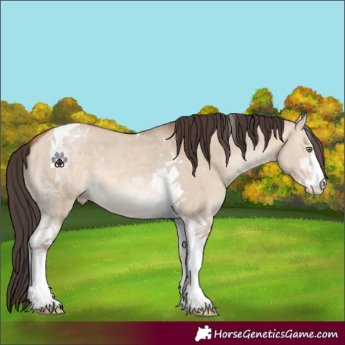 Horse Color:Sable Champagne Dun Sabino Tobiano 