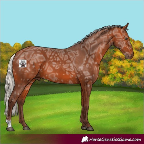 Horse Color:Silver Bay Ice 