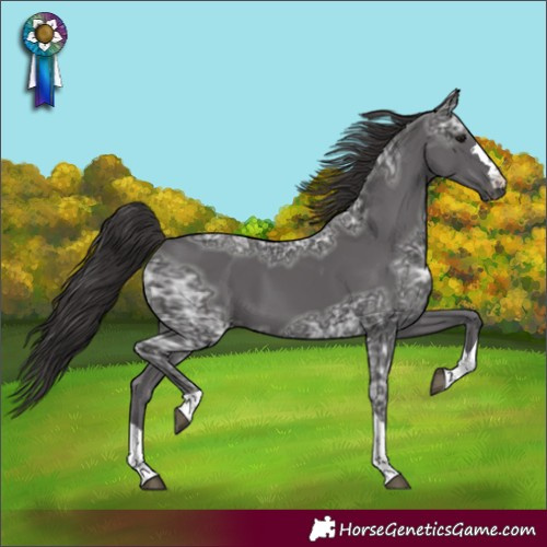 Horse Color:Smoky Black Ice 