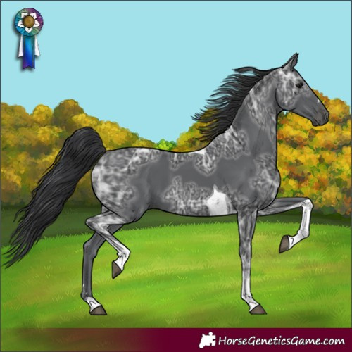 Horse Color:Black Ice Tobiano 