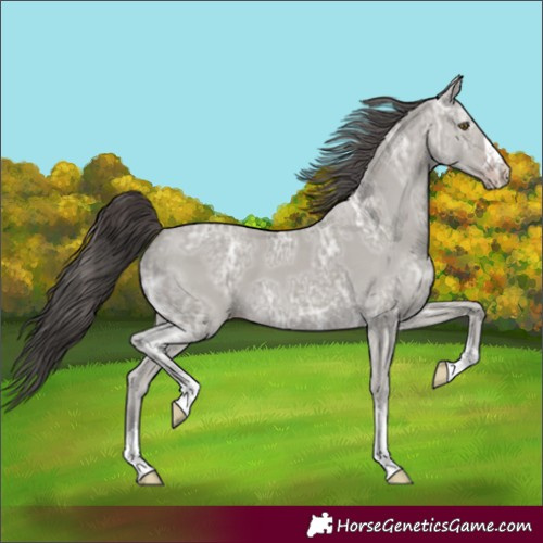 Horse Color:Classic Cream Champagne Ice 