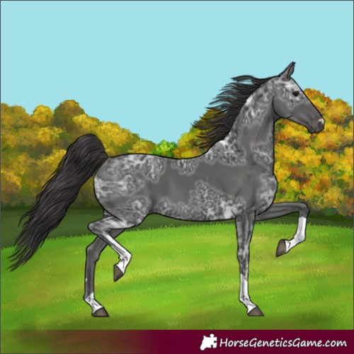 Horse Color:Smoky Black Ice Tobiano
