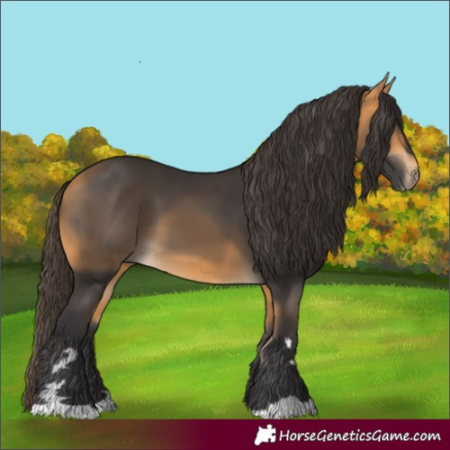 Horse Color:Buckskin 