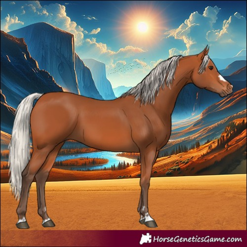 Horse Color:Silver Bay 