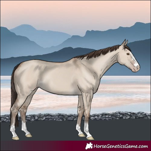 Horse Color:Classic Champagne Dun