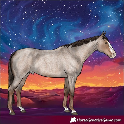 Horse Color:Liver Red Dun Roan Splash 