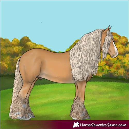 Horse Color:Palomino Splash 