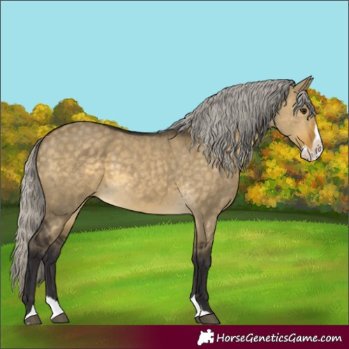 Horse Color:Silver Buckskin Dun Splash 
